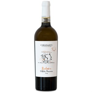 CARMINUCCI BELATO OFFIDA PECORINO 0.75 litri