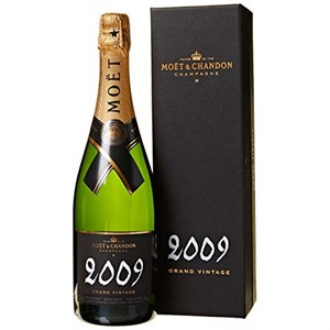 Moet Et Chandon Champagne Vintage Brut Astuccio 0.75 Litri